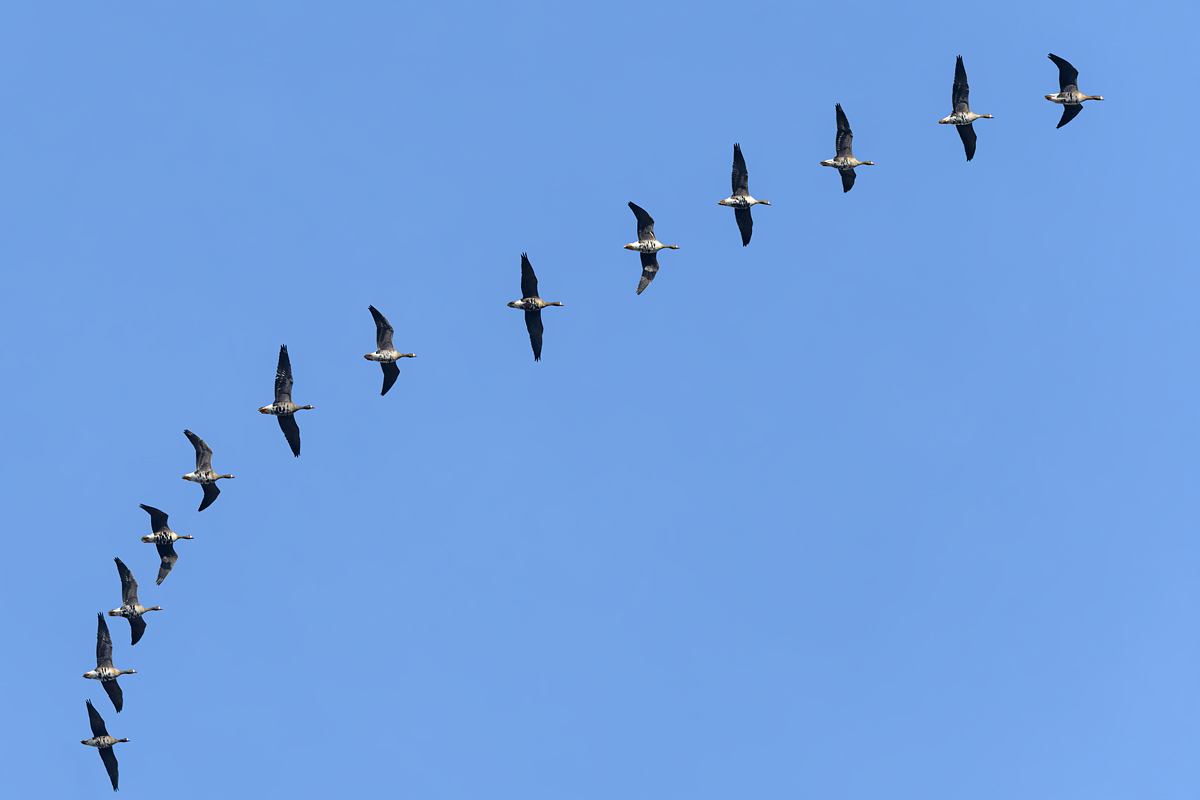OF5_17010.jpg