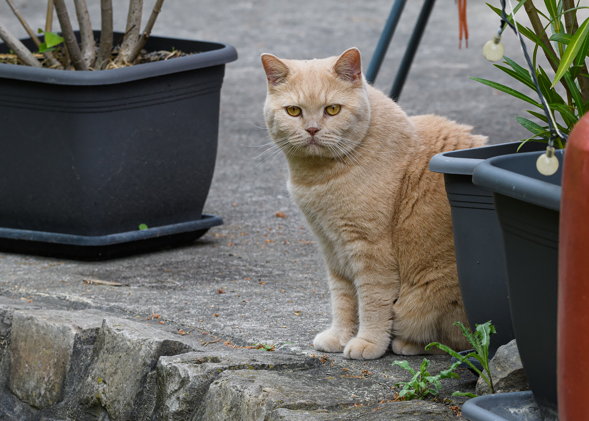 OF5_21050.jpg