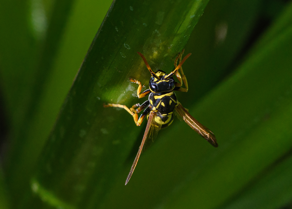 OF5_21121.jpg