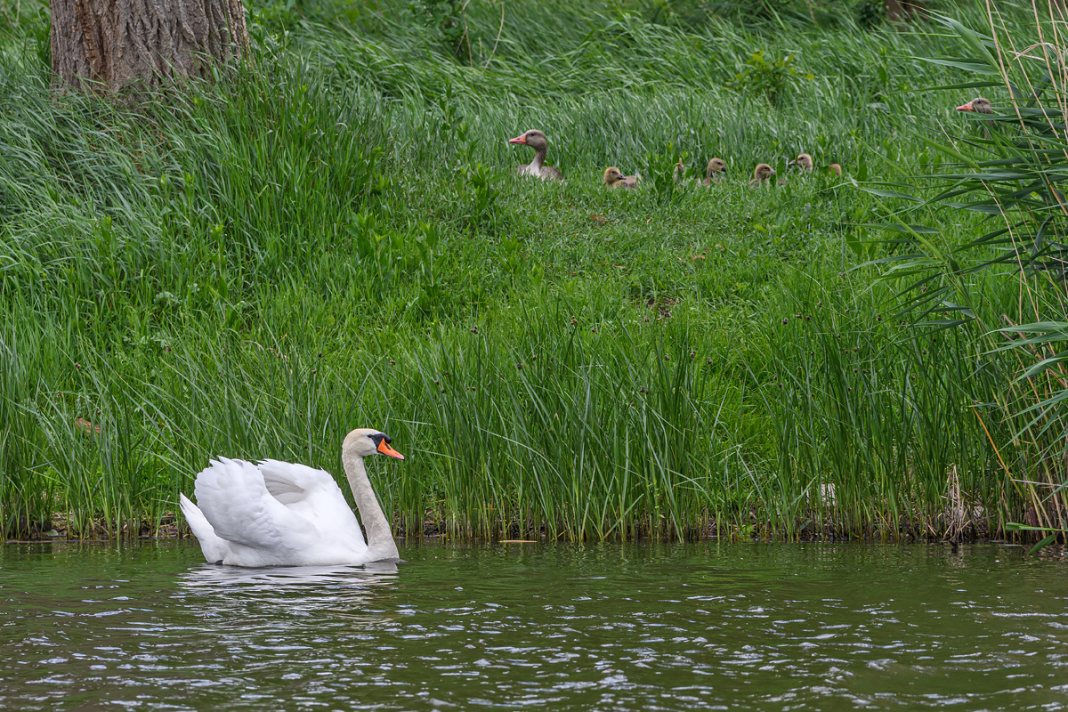 OF5_21359.jpg