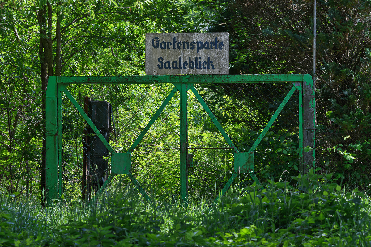 OF5_21380.jpg
