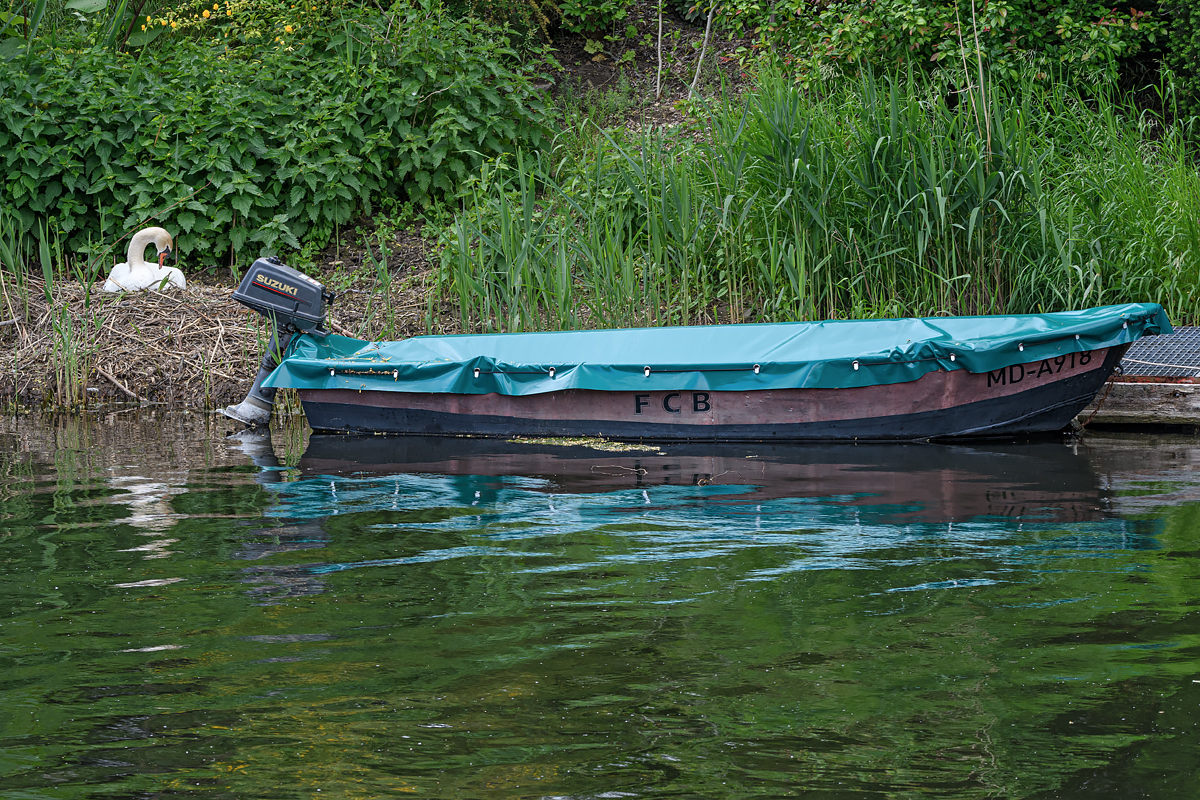 OF5_21394.jpg