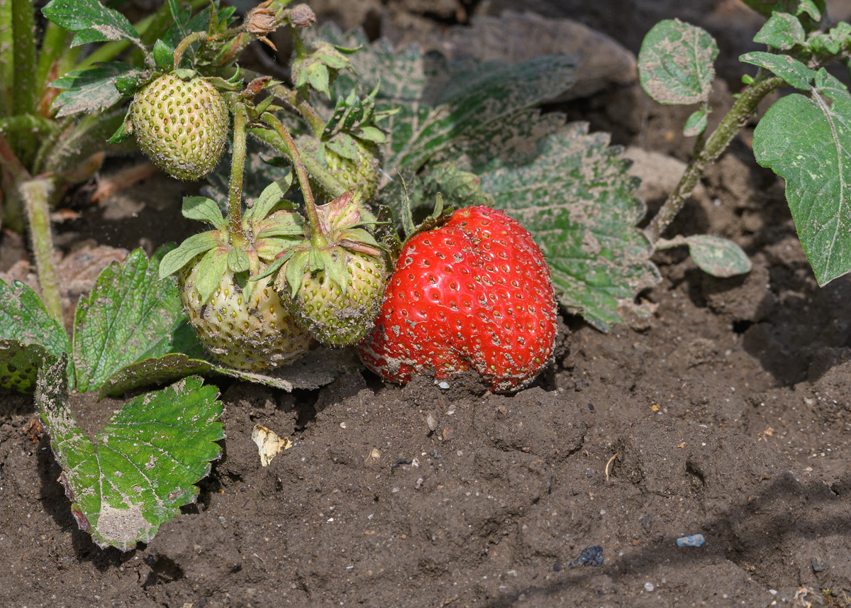 OF5_21449.jpg