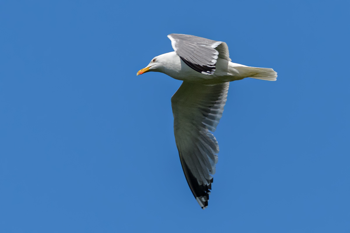 OF5_21682.jpg