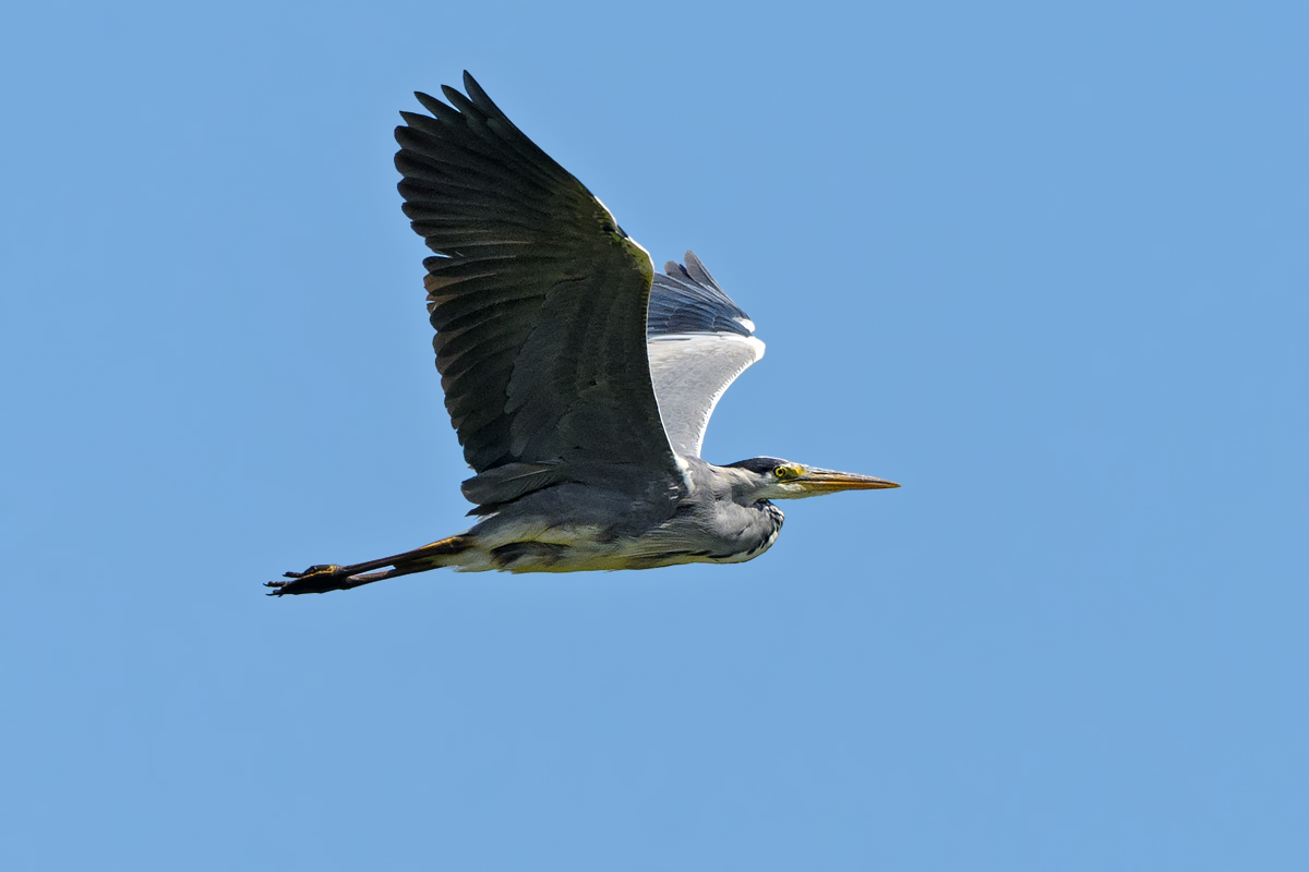 OF5_22294.jpg