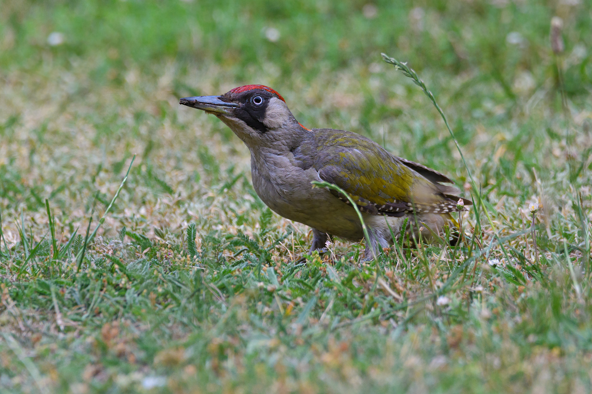 OF5_22594.jpg