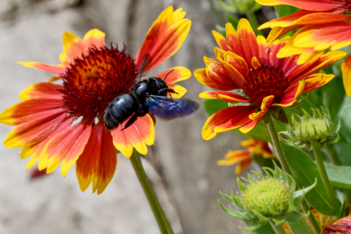 OF5_22906.jpg
