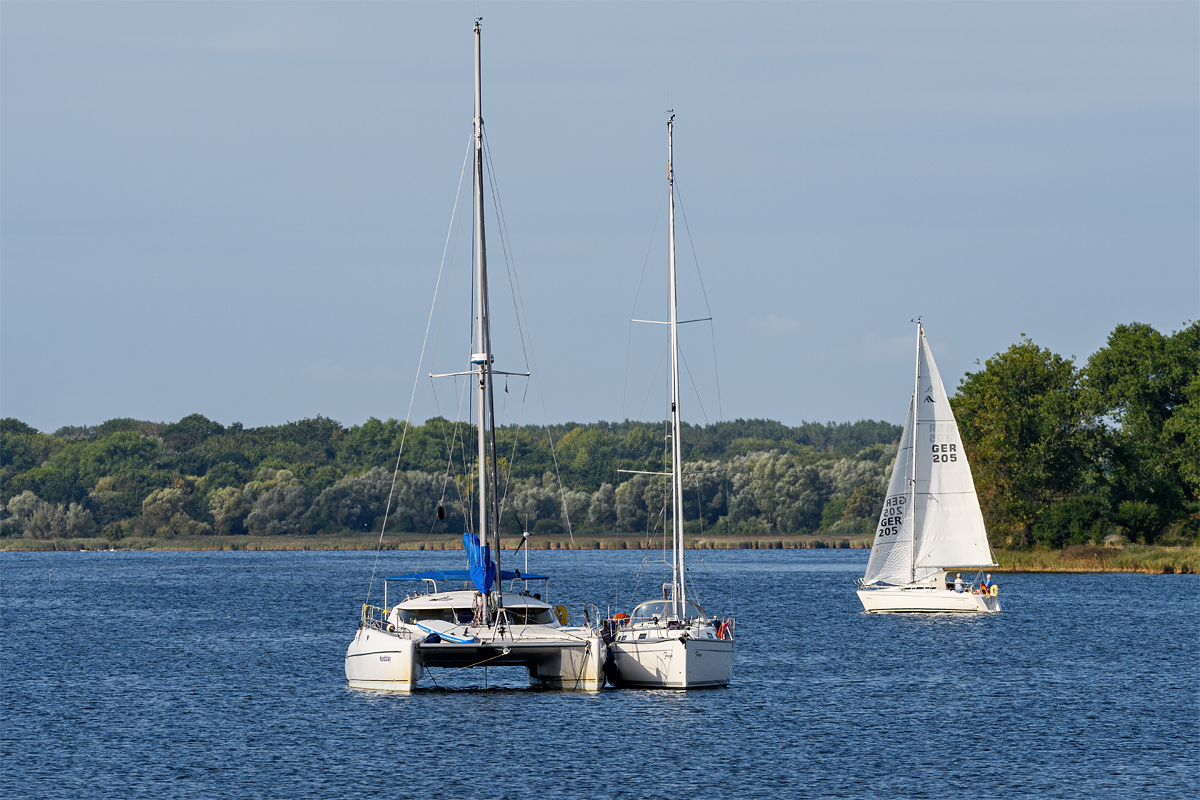 OF5_24747.jpg