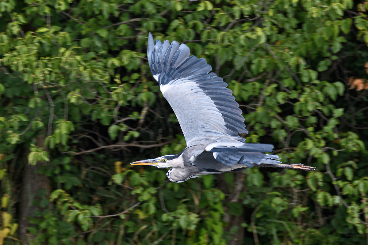 OF5_24973.jpg
