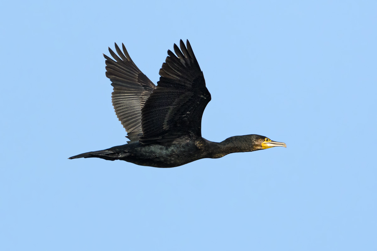 OF5_25947.jpg