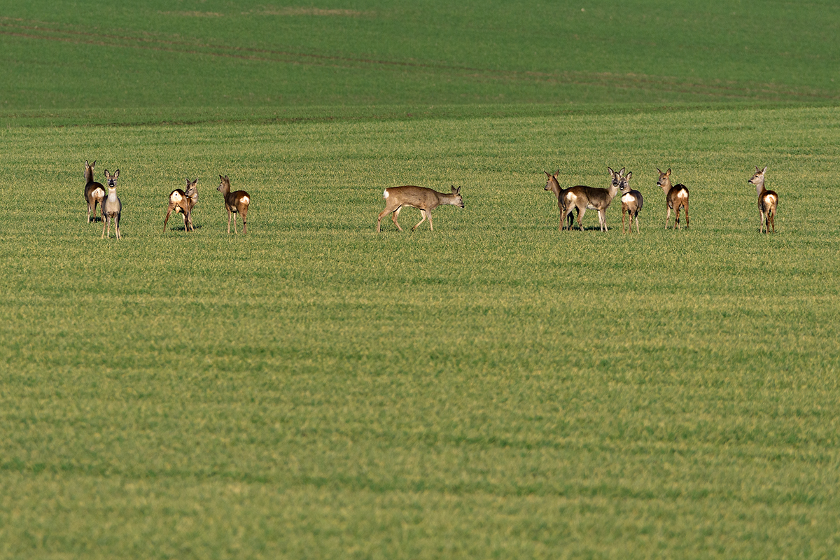 OF5_26850.jpg
