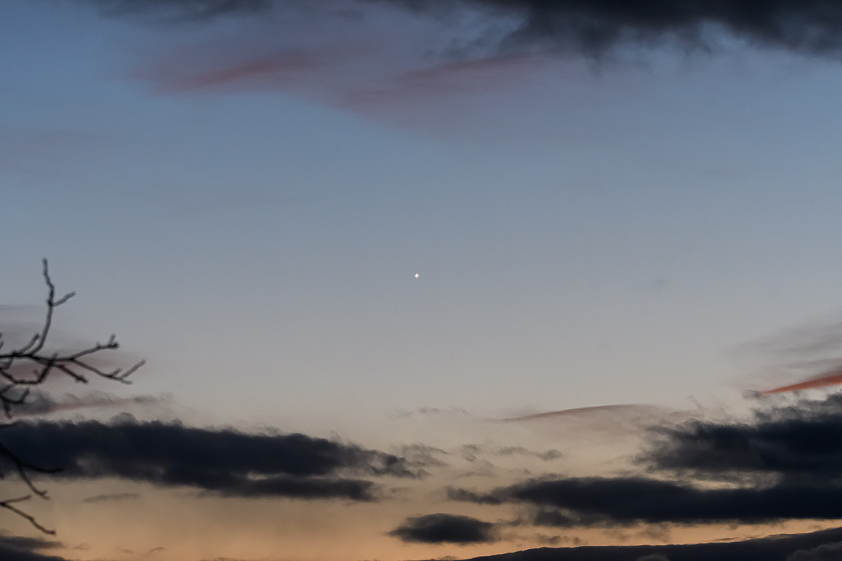 OF5_26906.jpg