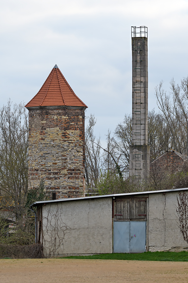 OF5_28493.jpg