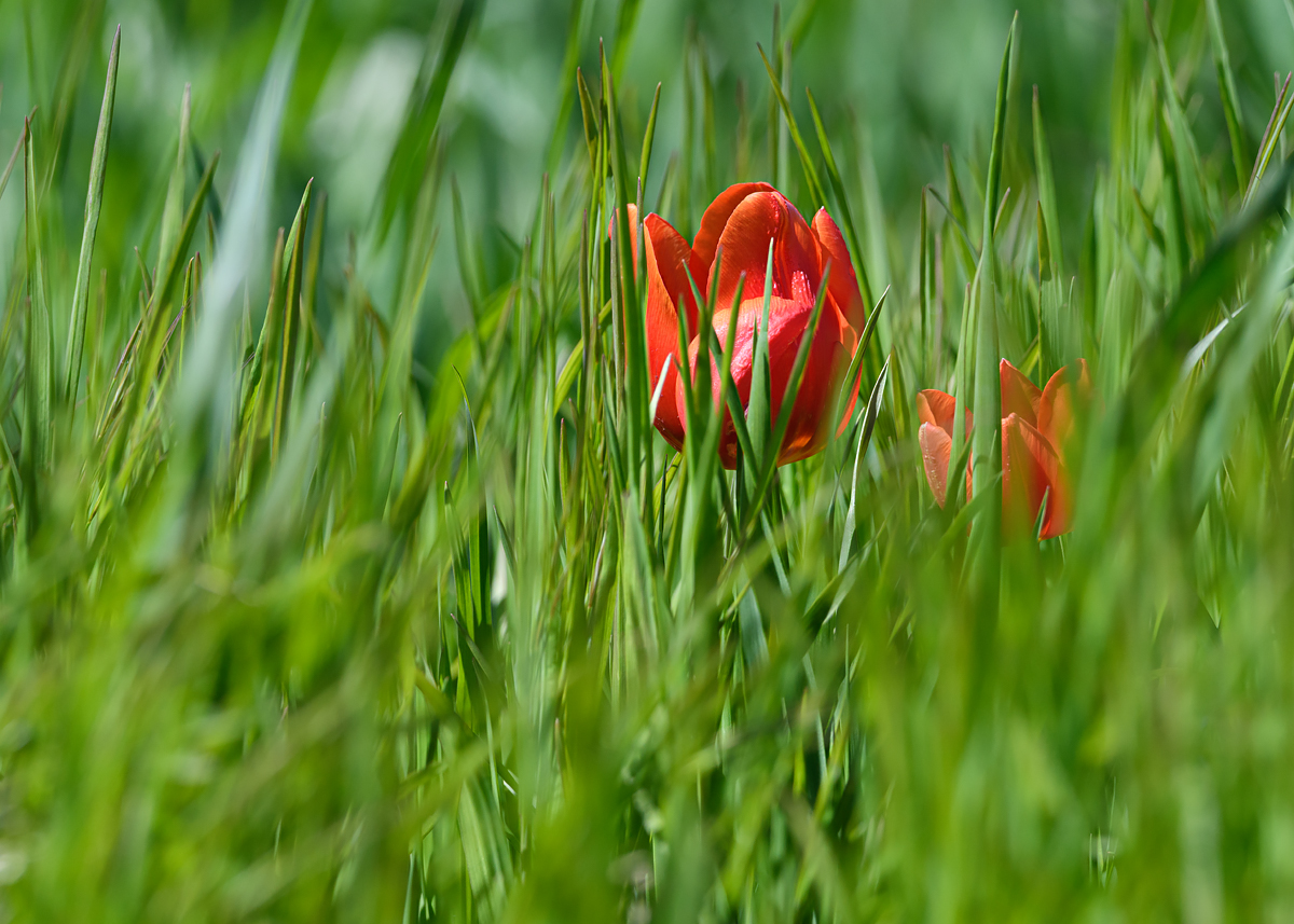 OF5_29343.jpg