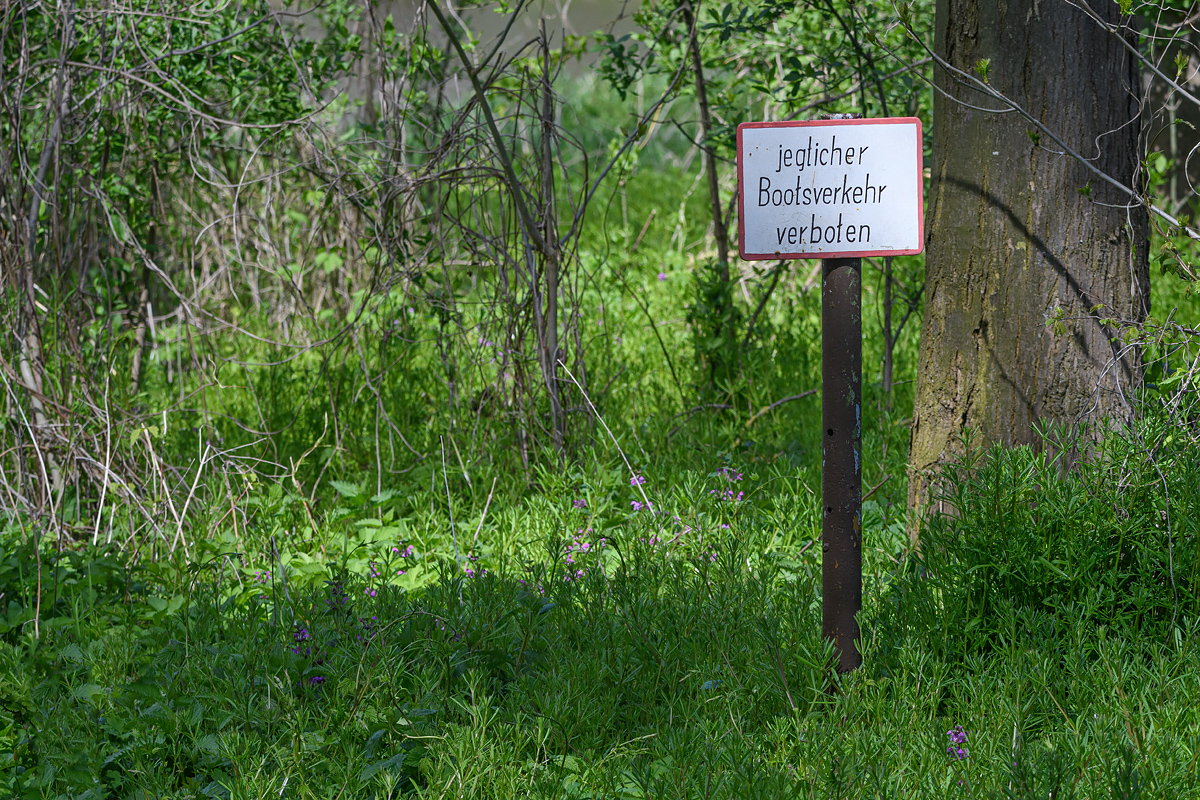 OF5_29434.jpg