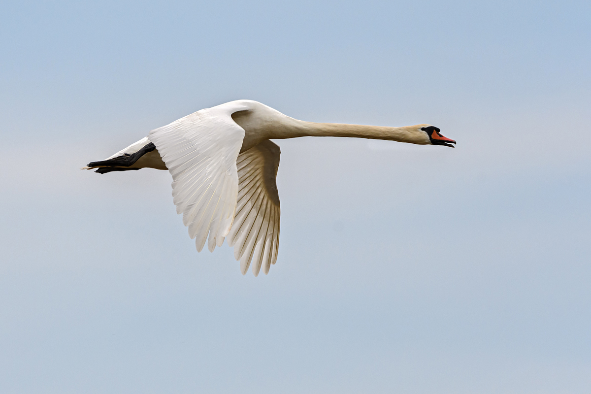 OF5_29546.jpg