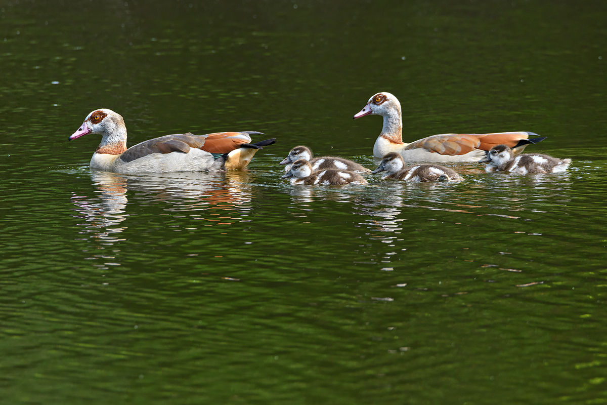 OF5_30074.jpg