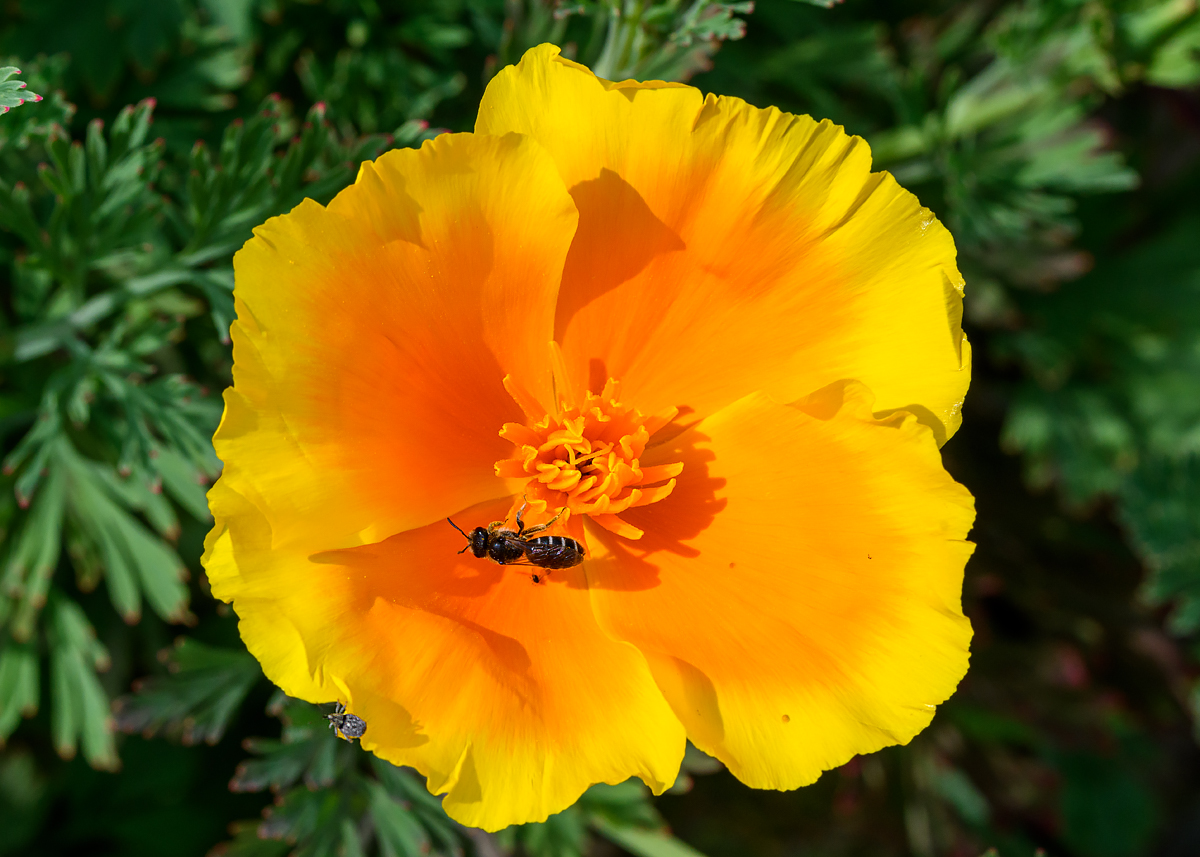 OF5_30207.jpg