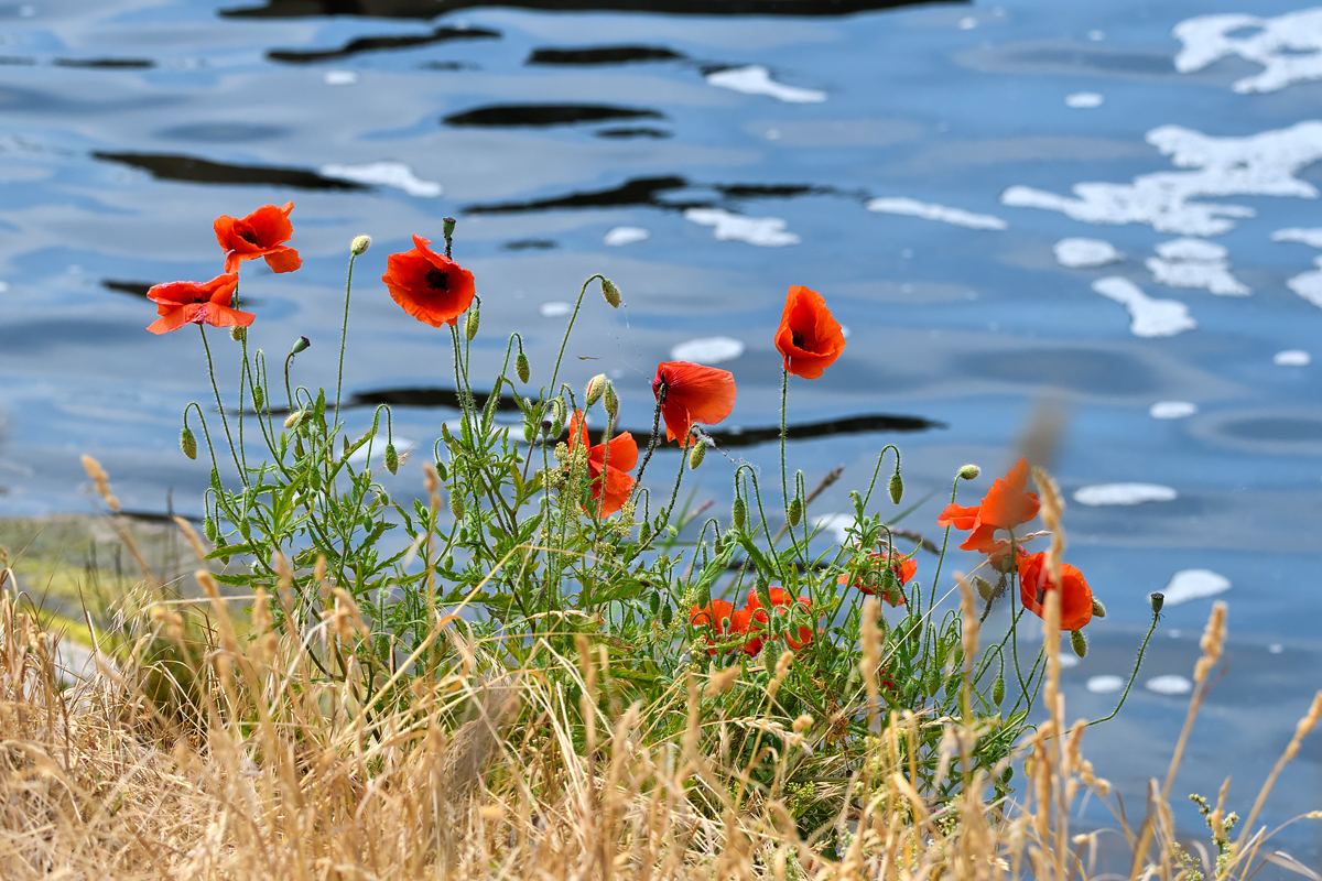 OF5_30519.jpg
