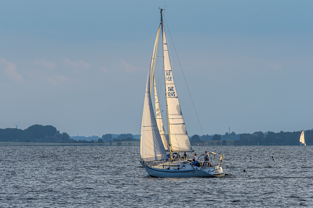OF5_40975.jpg