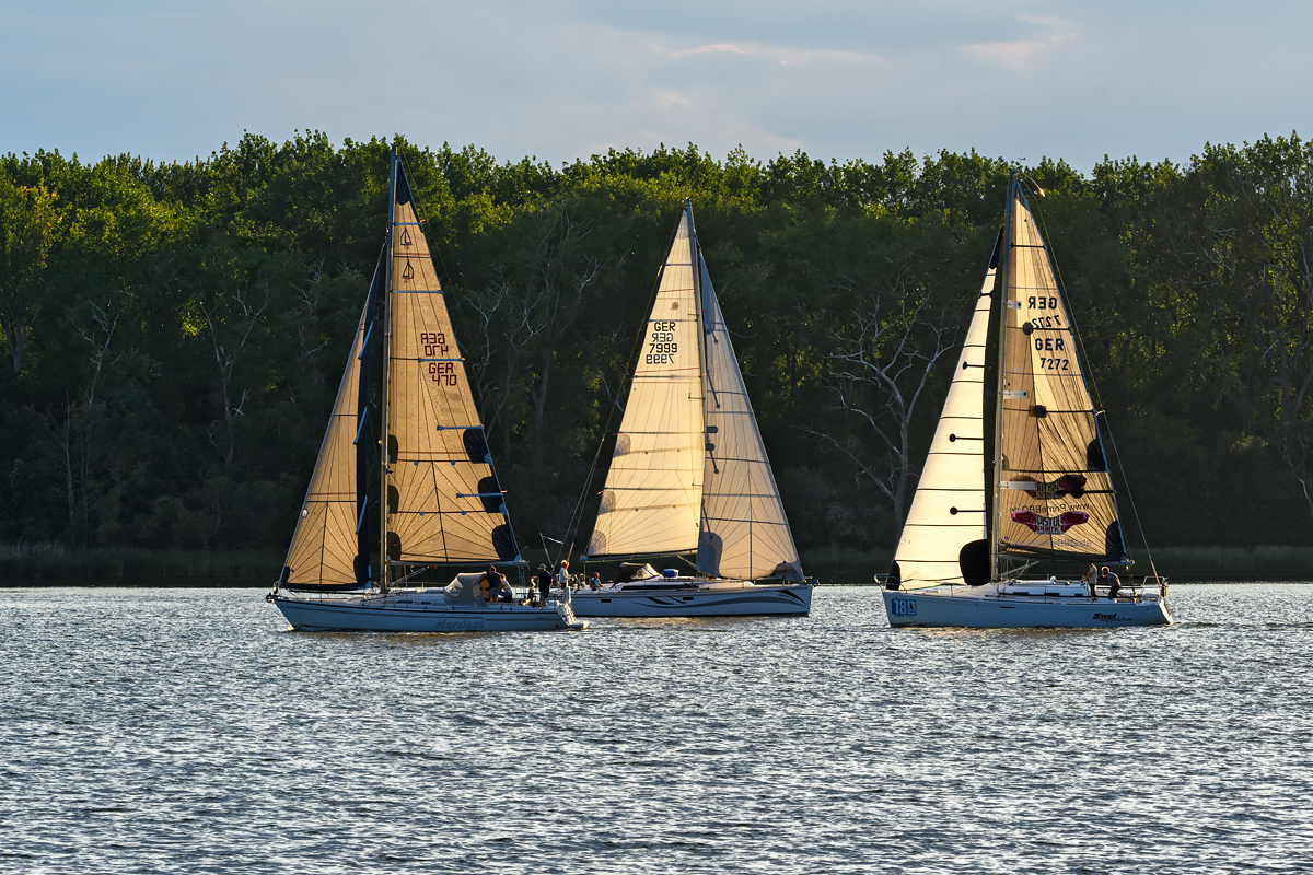 OF5_40978.jpg