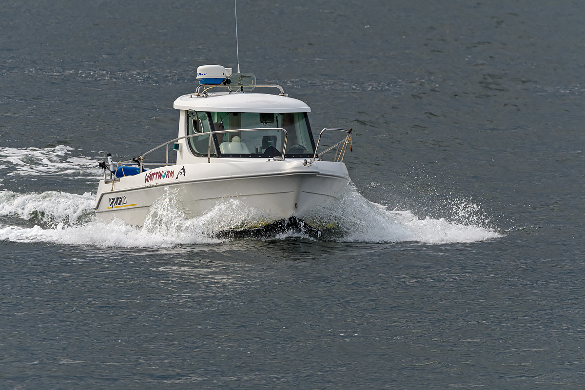 OF5_41126.jpg