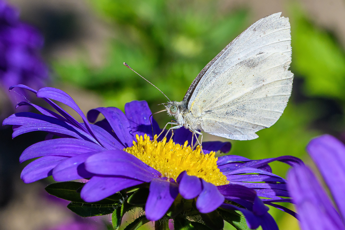 OF5_41452.jpg
