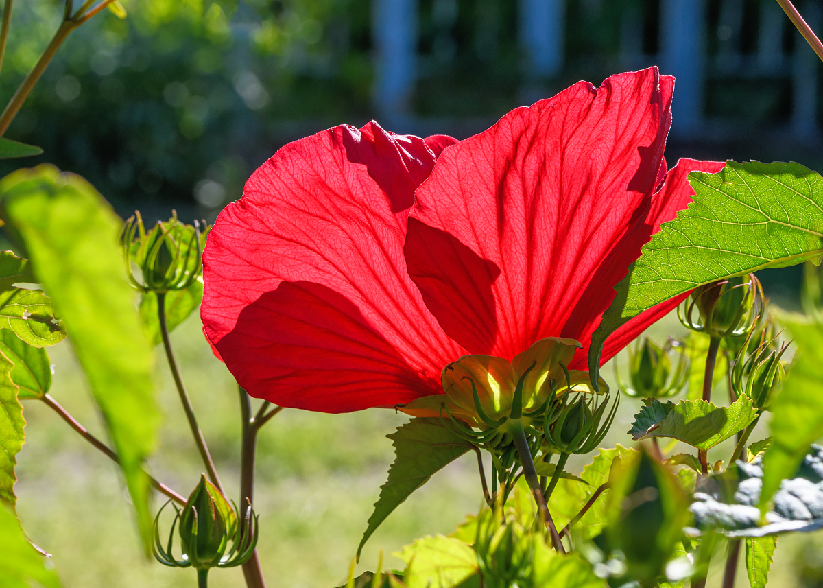 OF5_41470.jpg