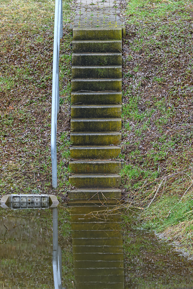 OF5_43400.jpg