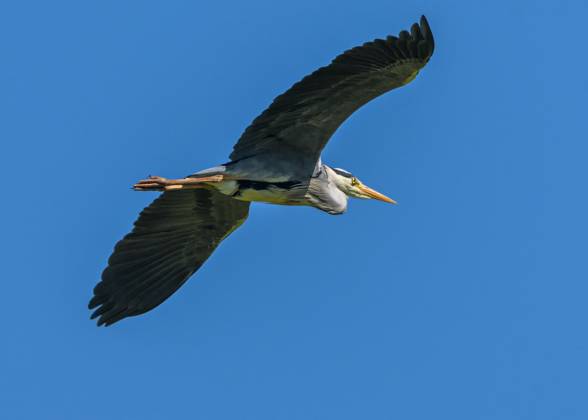 OF5_44788.jpg
