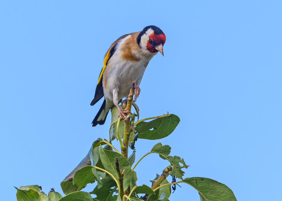 OF5_45070.jpg