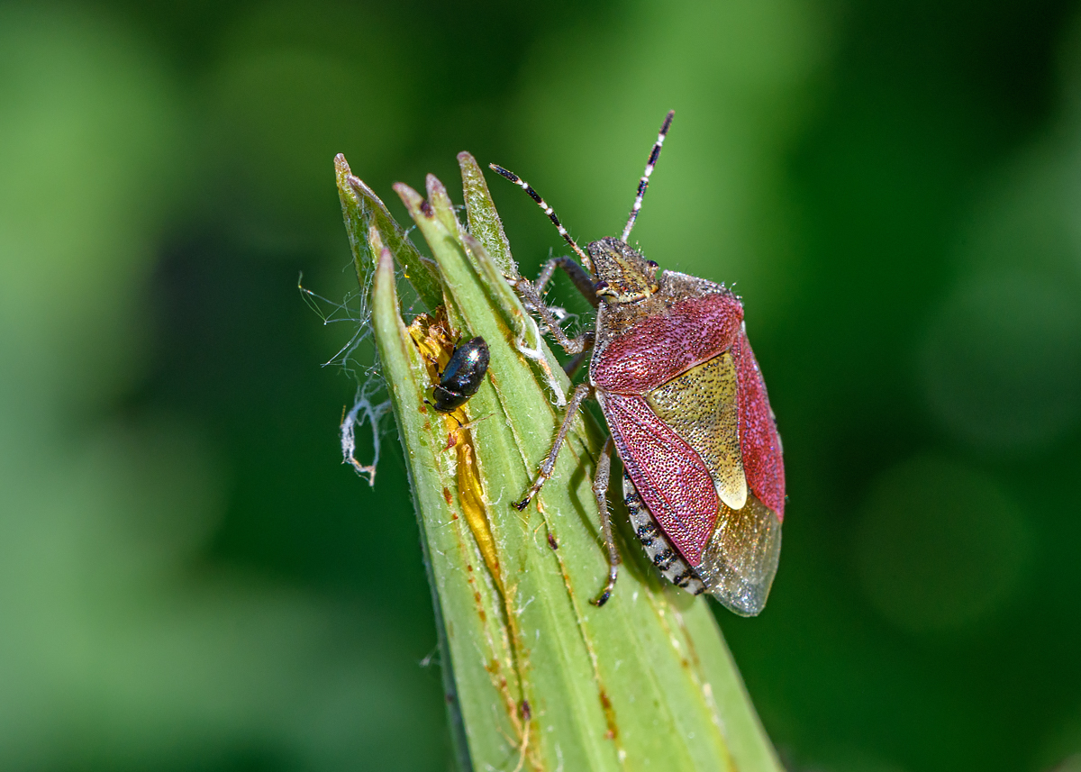 OF5_45174.jpg