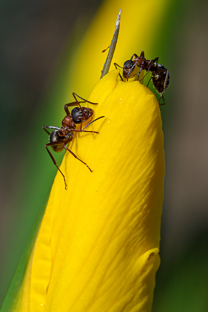 OF5_45193.jpg