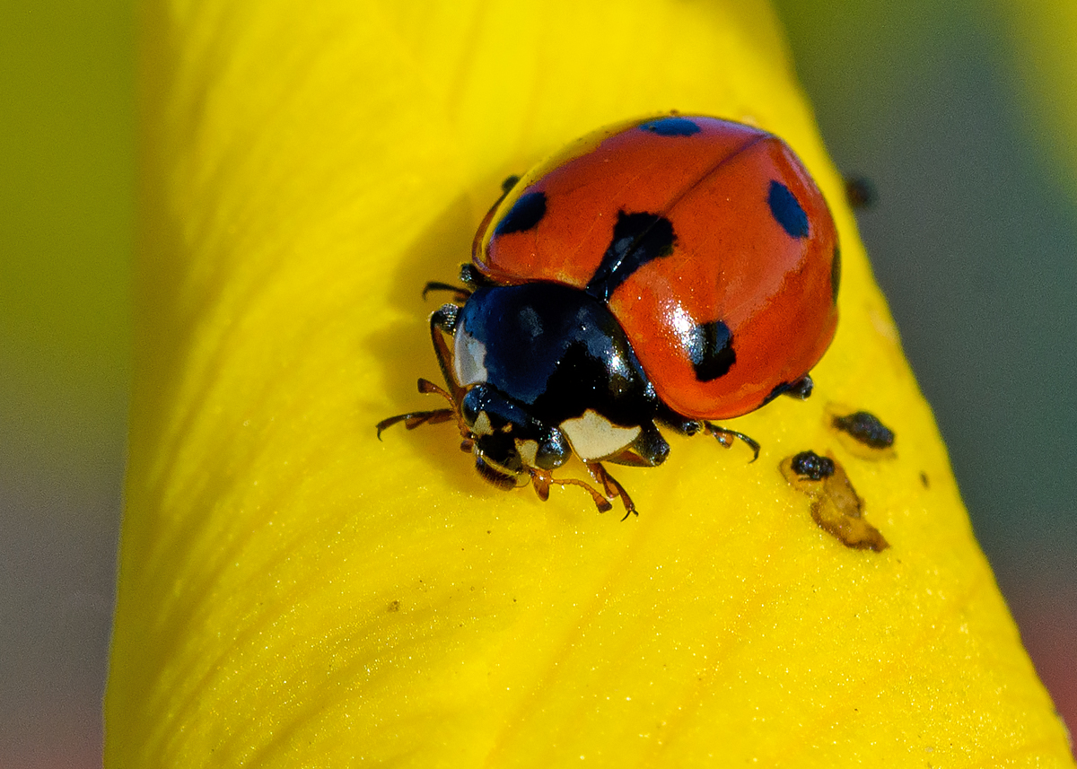 OF5_45212.jpg