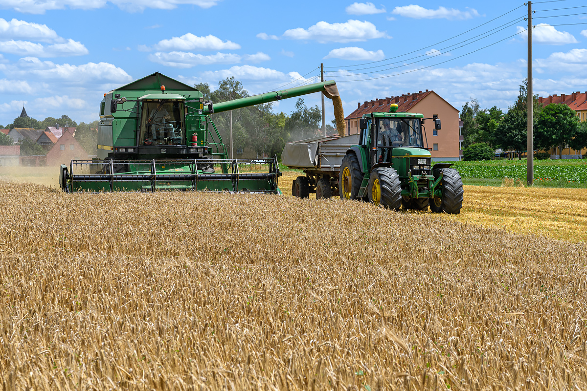 OF5_46089.jpg