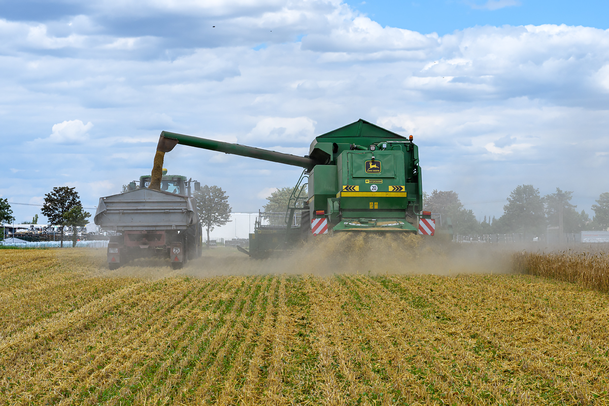 OF5_46105.jpg