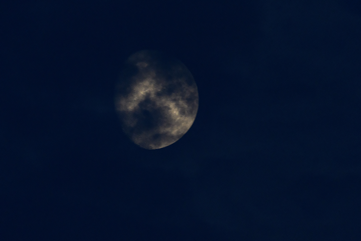 OF5_46160.jpg