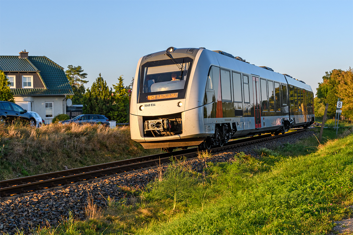 OF5_46850.jpg