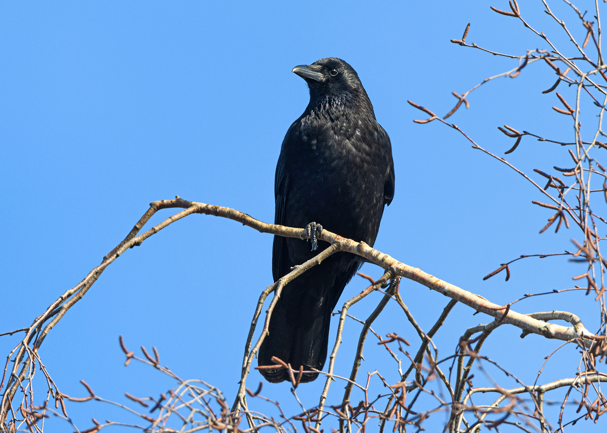 OF5_48156.jpg