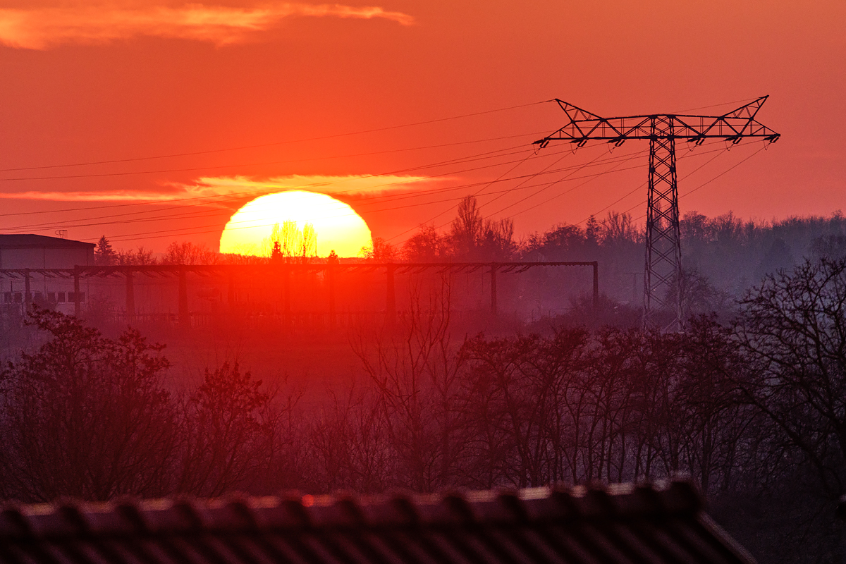 OF5_48180.jpg