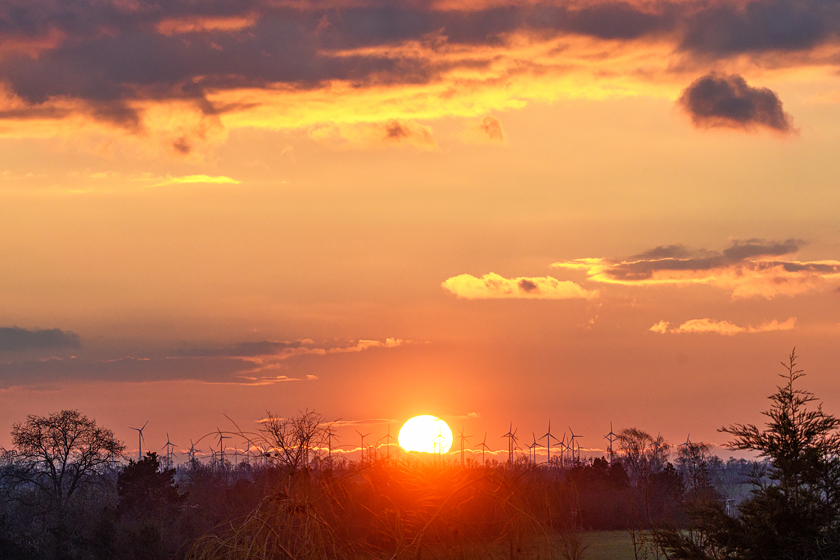 OF5_48551.jpg