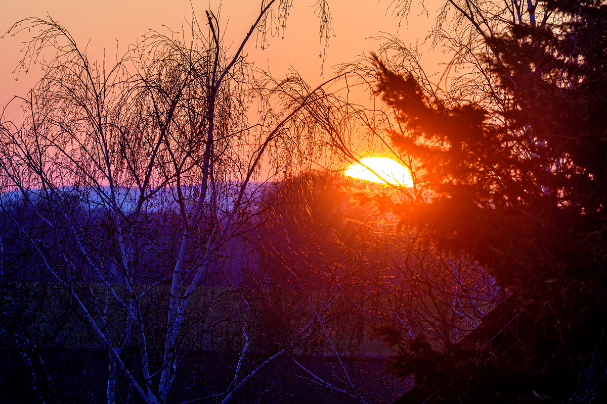 OF5_48837.jpg