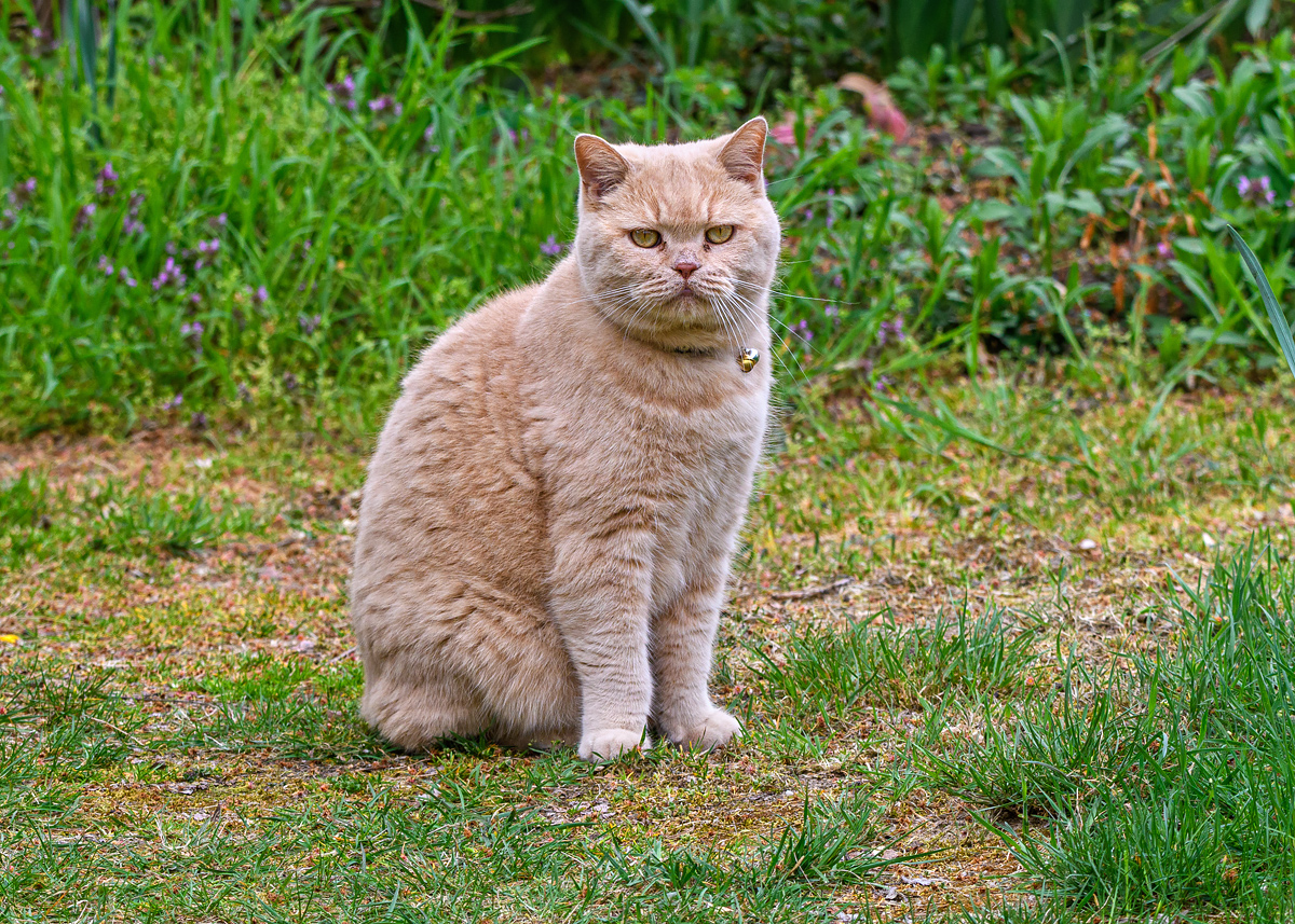 OF5_49106.jpg