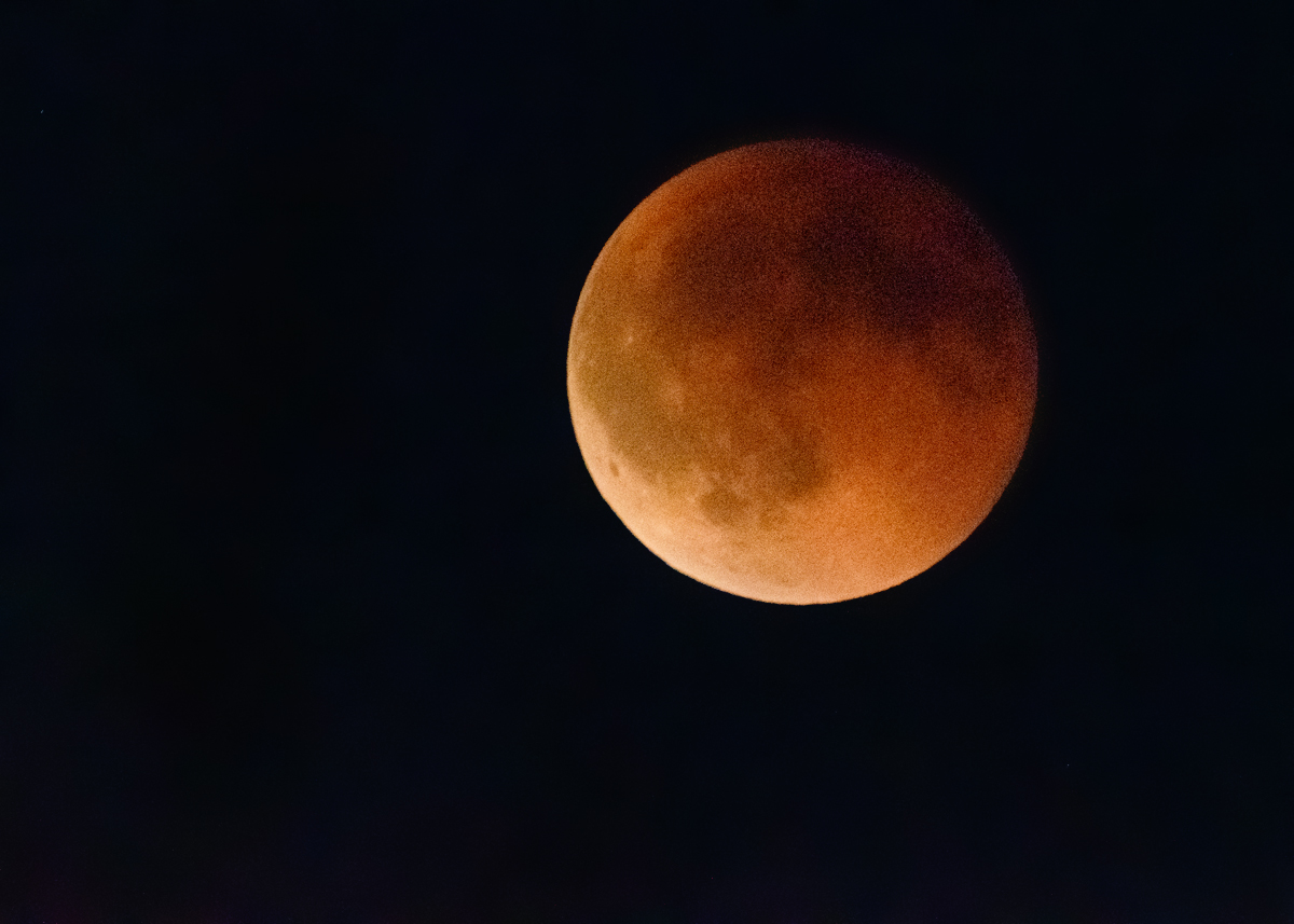 OF5_51130.jpg