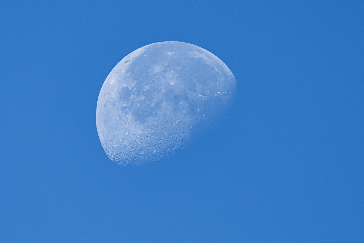OF5_51245.jpg