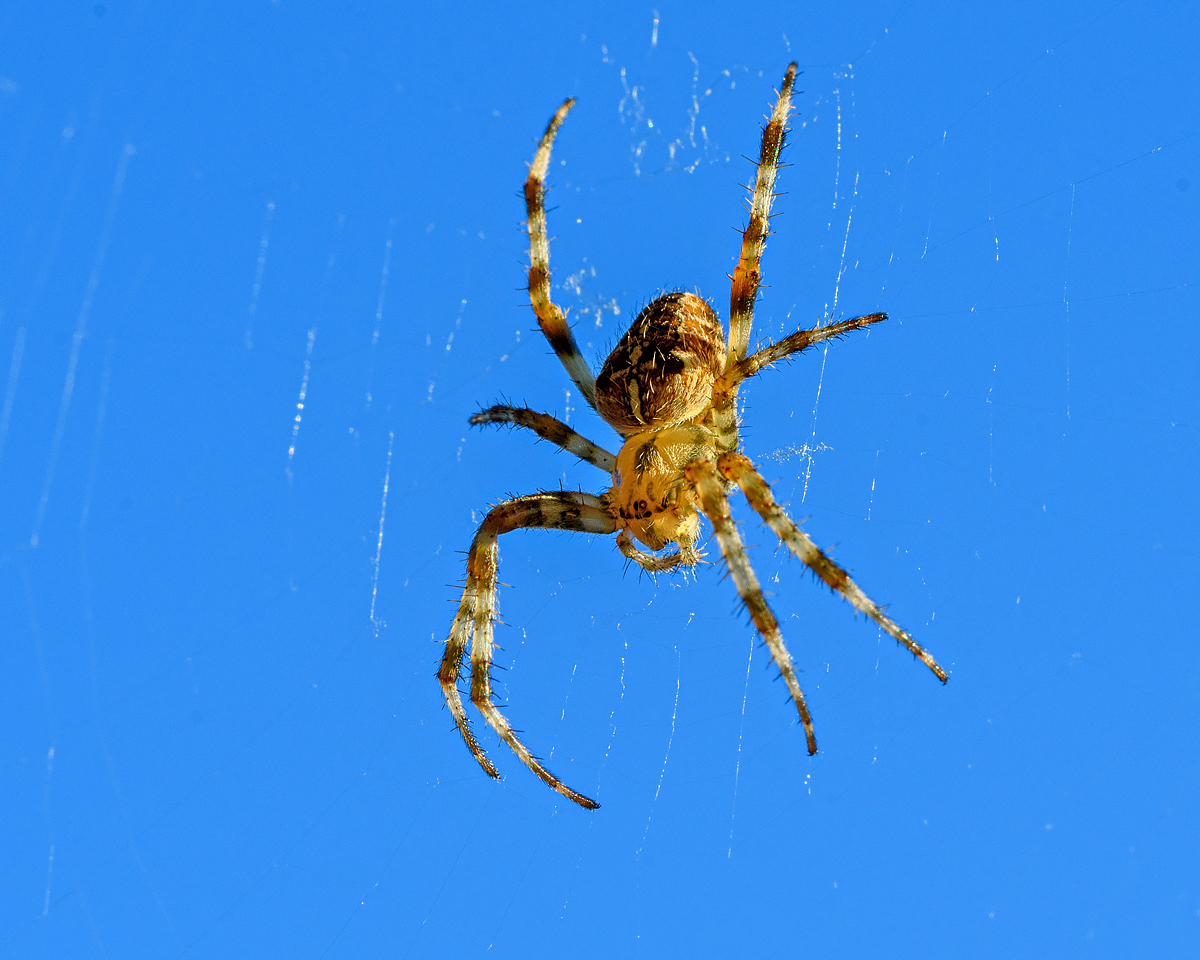 OF5_51359.jpg