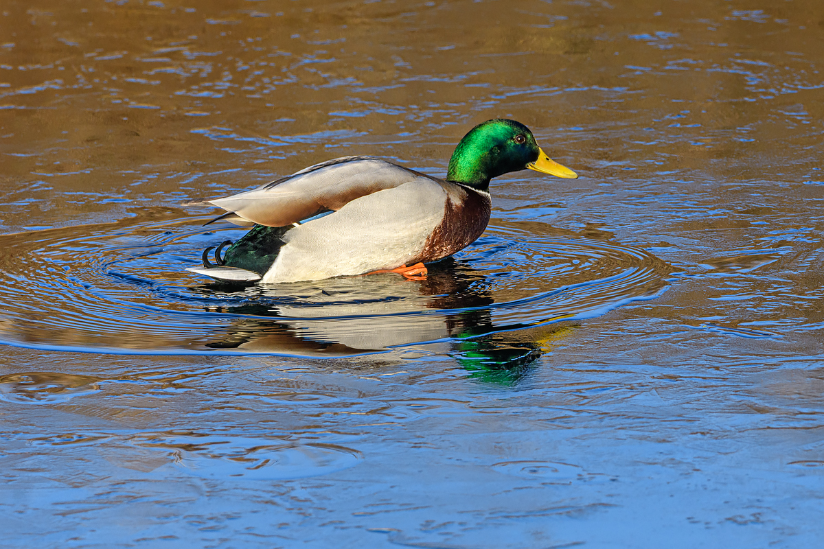 OF5_52548.jpg