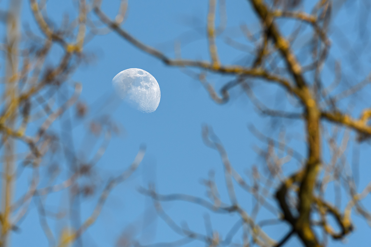 OF5_53020.jpg