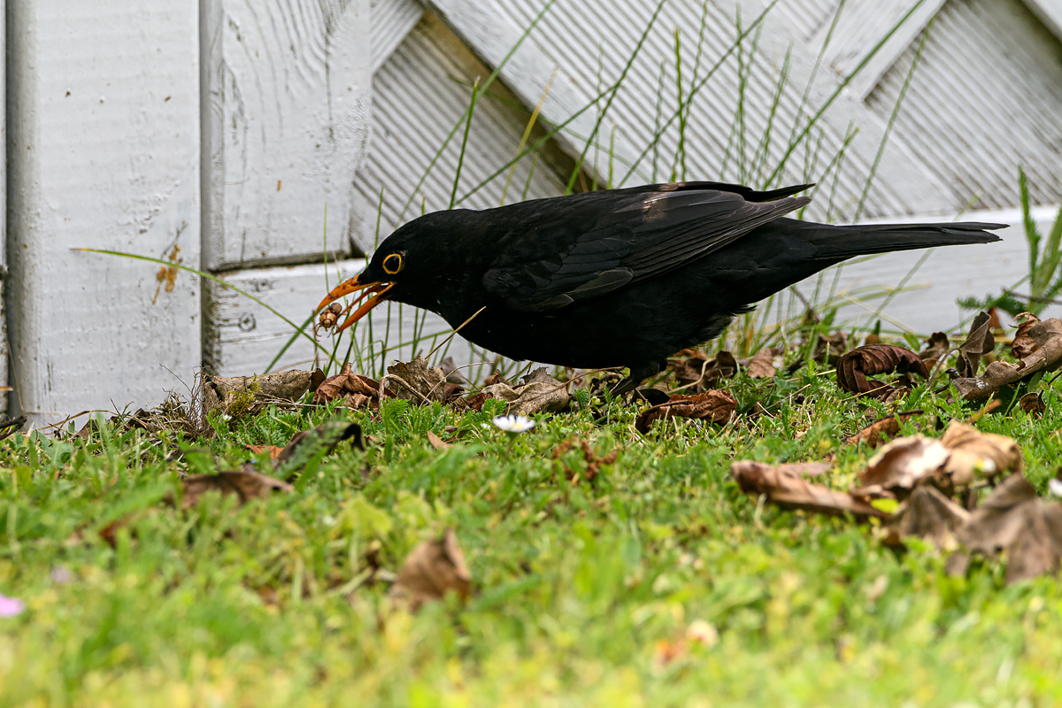 OF5_54318.jpg