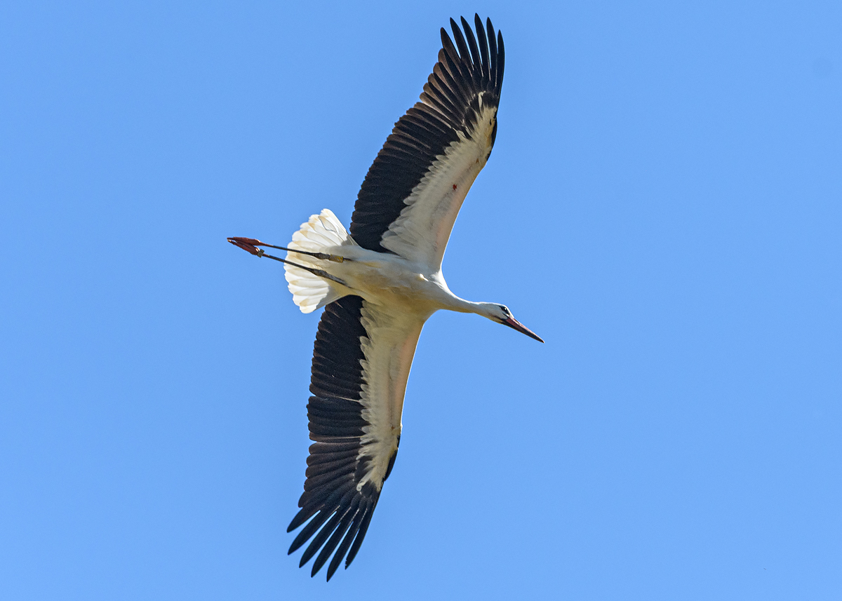 OF5_55230.jpg